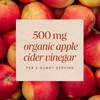 image:imageNatures Way Organic Apple Cider Vinegar Gummies USDA Certified Organic 500 mg Organic ACV per 2Gummy Serving Vegan Plant Based Pectin Apple Flavored60 GummiesOrganic Apple Cider Vinegar